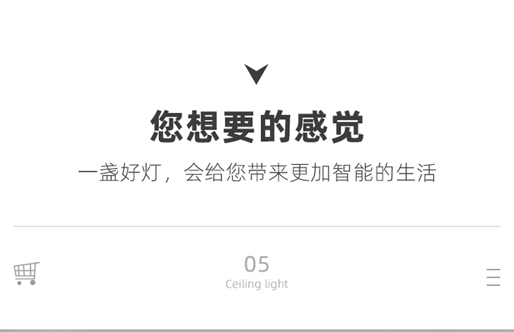 ������_11