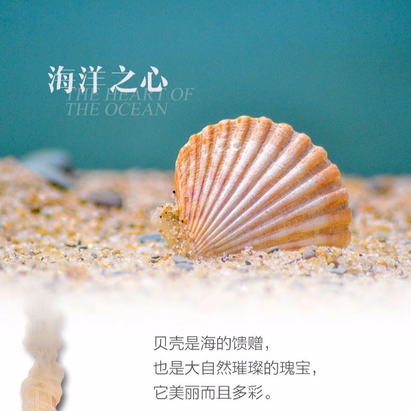 OTL�������̼���,�Ҿӵ���������,��ɽ�ƾ�Ʒ�Ƴ�����led�����ƾ߳���