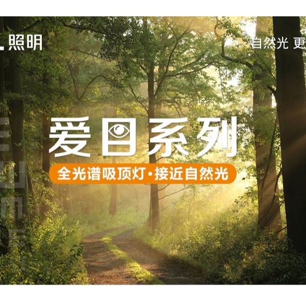 ȫ�������������������ơ���Ŀϵ�������ǳ���