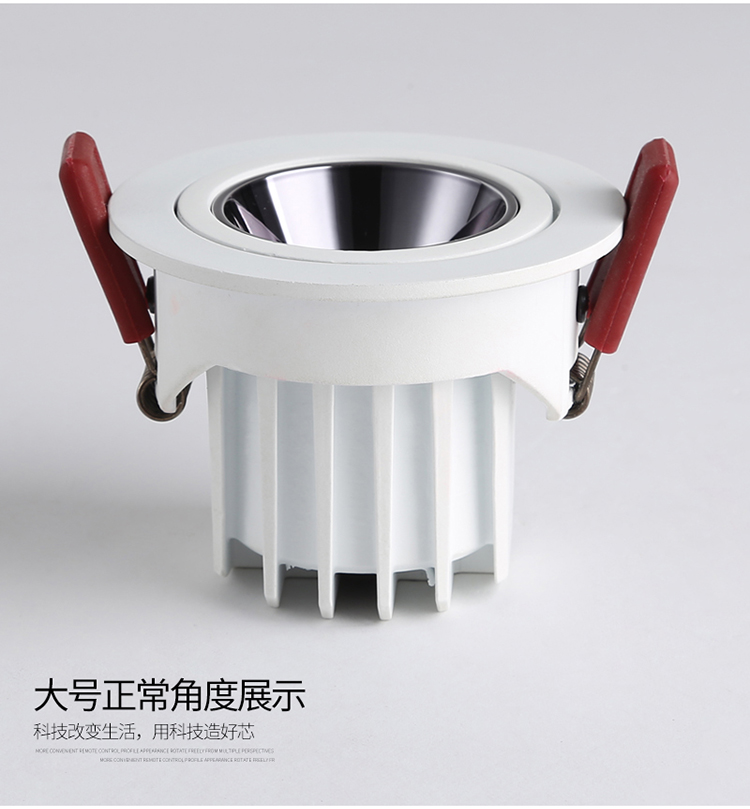 ����˹�ڹ���� 