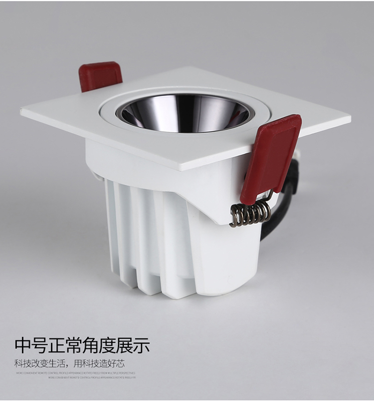 ����˹�ڹ���� 