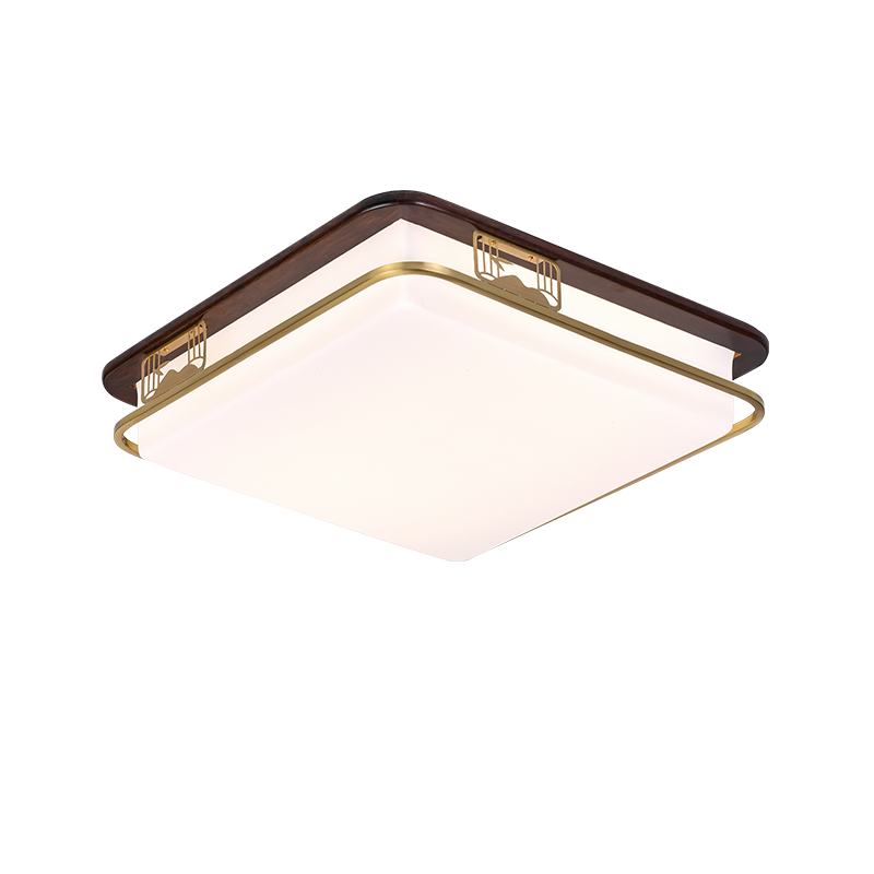 OTL/��ʽ������/���ҵ�/OTL-1289ϵ��